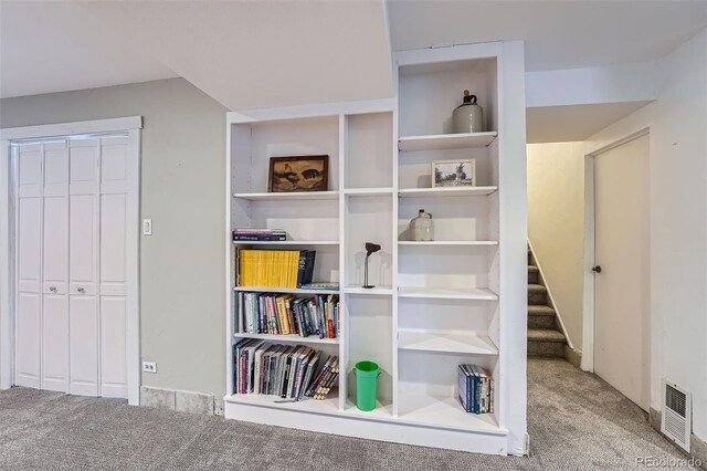 12189 Boot Hill Dr, Parker, CO 80138 - detailed view of carpet floors