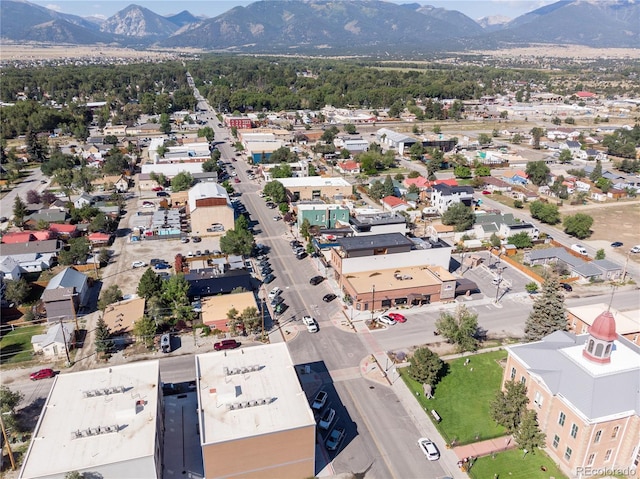 519 E Main St, Buena Vista, CO 81211 - photo 1