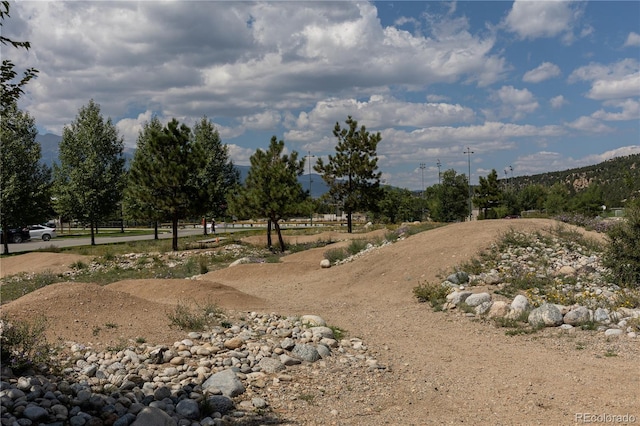 519 E Main St, Buena Vista, CO 81211 - photo 30