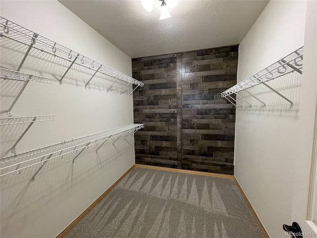588 Stafford Cir, Castle Rock, CO 80104 - walk in closet with carpet