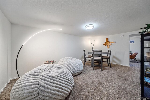 dining room with a baseboard radiator, a textured ceiling, and carpet flooring