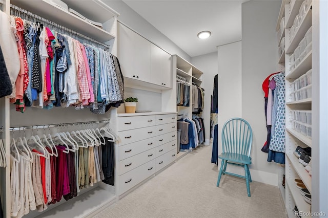 spacious closet featuring light carpet