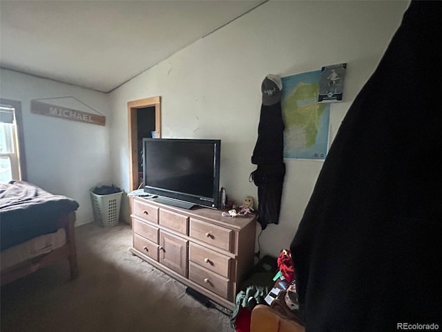 374 Hickory Creek Rd, Divide, CO 80814 - photo 10