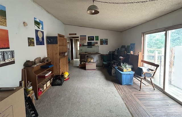 374 Hickory Creek Rd, Divide, CO 80814 - photo 12