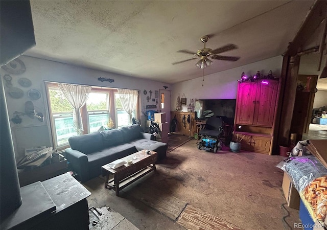 374 Hickory Creek Rd, Divide, CO 80814 - photo 14
