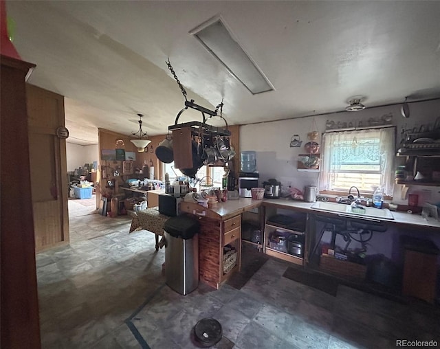 374 Hickory Creek Rd, Divide, CO 80814 - photo 20