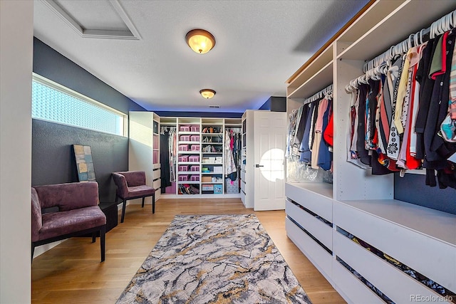 walk in closet featuring light hardwood / wood-style floors