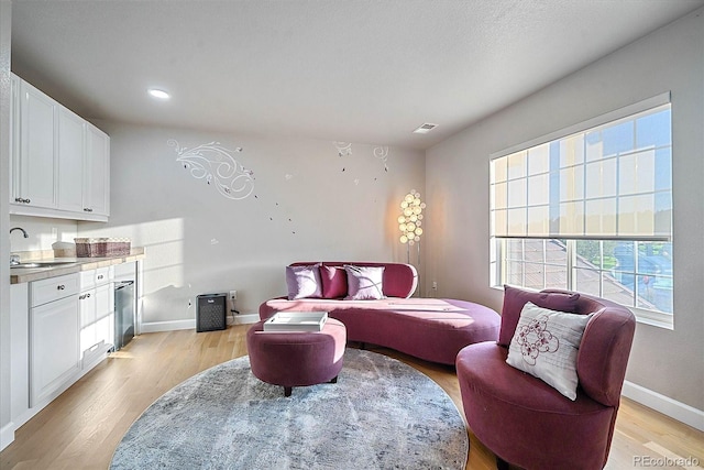 sitting room with light hardwood / wood-style flooring and sink