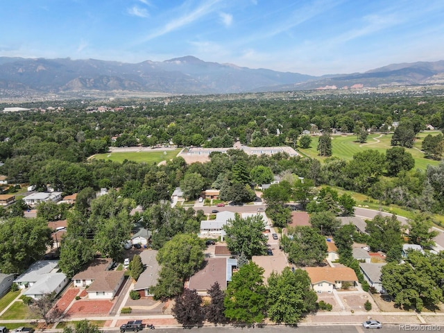 1506 N Cedar St, Colorado Springs, CO 80903 - photo 3