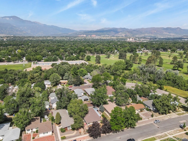 1506 N Cedar St, Colorado Springs, CO 80903 - photo 4
