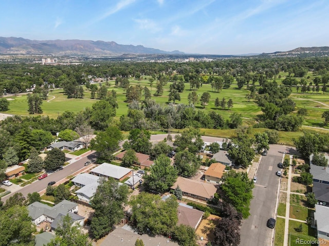 1506 N Cedar St, Colorado Springs, CO 80903 - photo 5