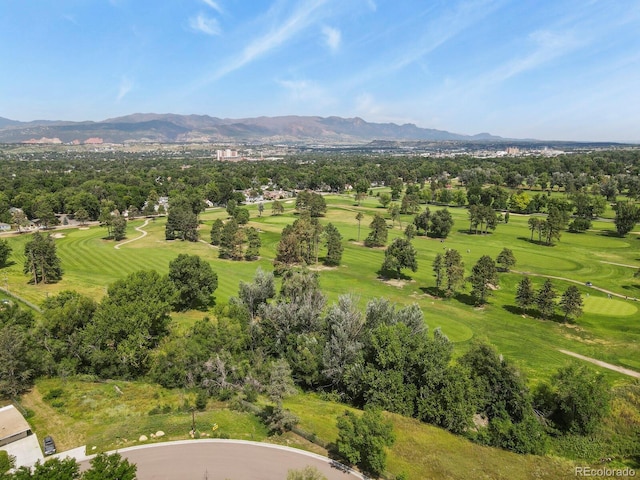 1506 N Cedar St, Colorado Springs, CO 80903 - photo 6