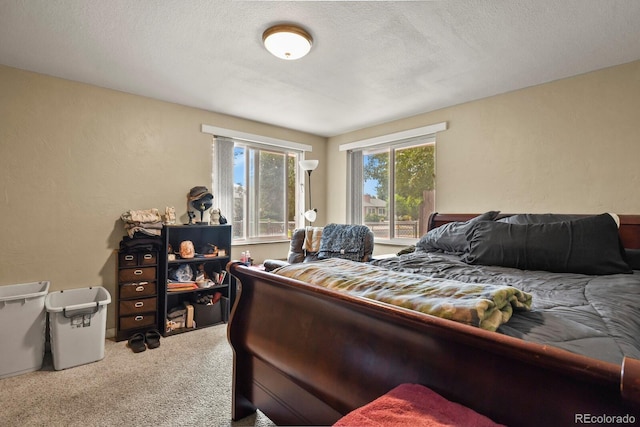 1506 N Cedar St, Colorado Springs, CO 80903 - photo 34