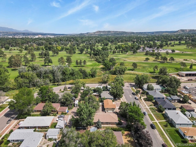 1506 N Cedar St, Colorado Springs, CO 80903 - photo 48
