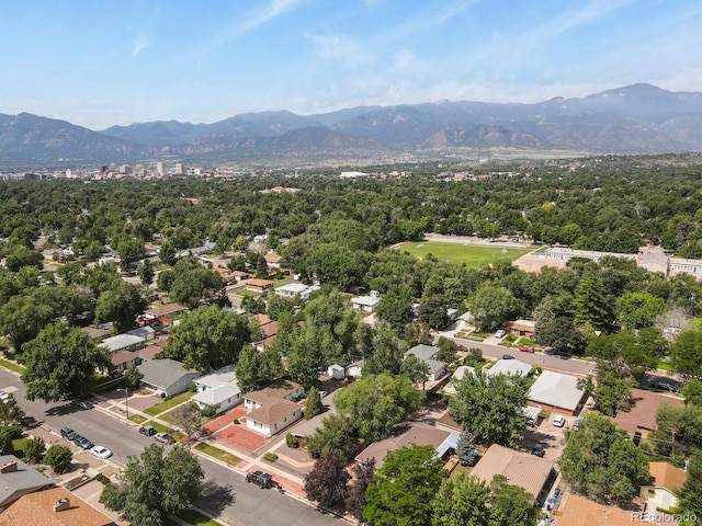 1506 N Cedar St, Colorado Springs, CO 80903 - photo 49