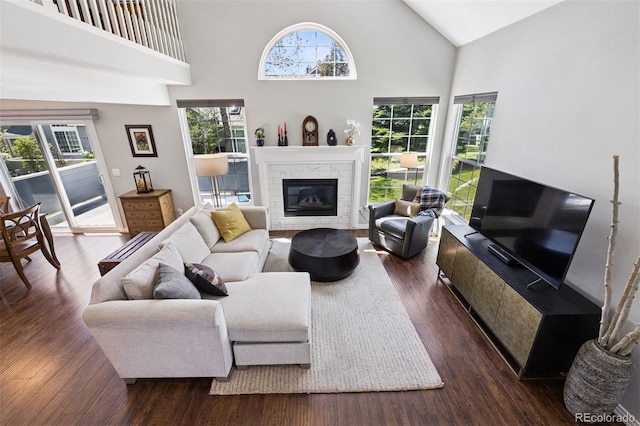 4976 S Nelson St Unit A, Littleton, CO 80127 - living area with dark wood finished floors, high vaulted ceiling, and a glass covered fireplace