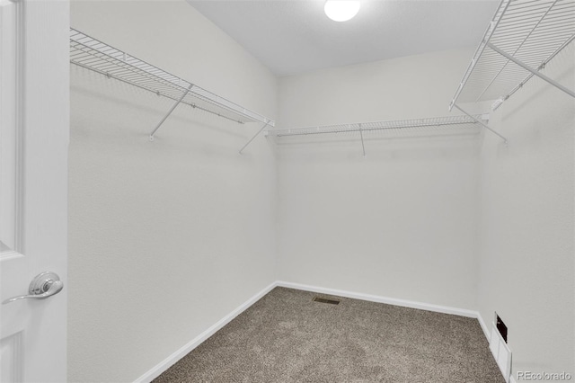 3109 S Jebel Way, Aurora, CO 80013 - walk in closet featuring carpet
