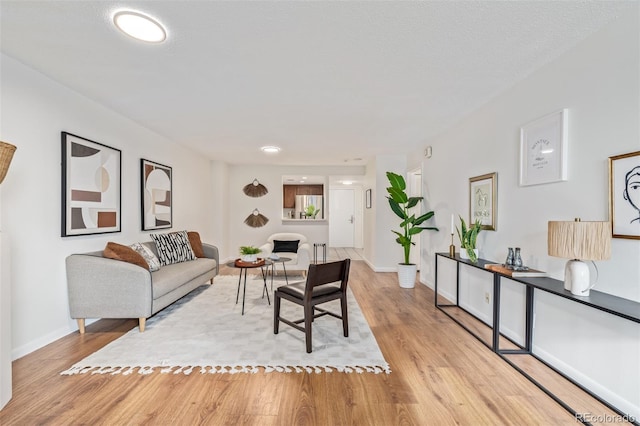 living room with light hardwood / wood-style flooring