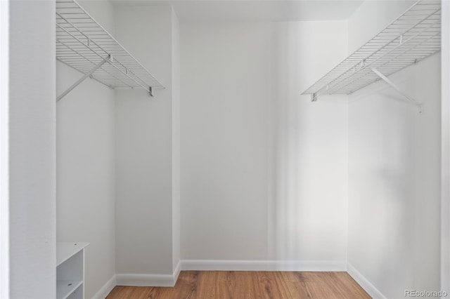 walk in closet featuring hardwood / wood-style flooring