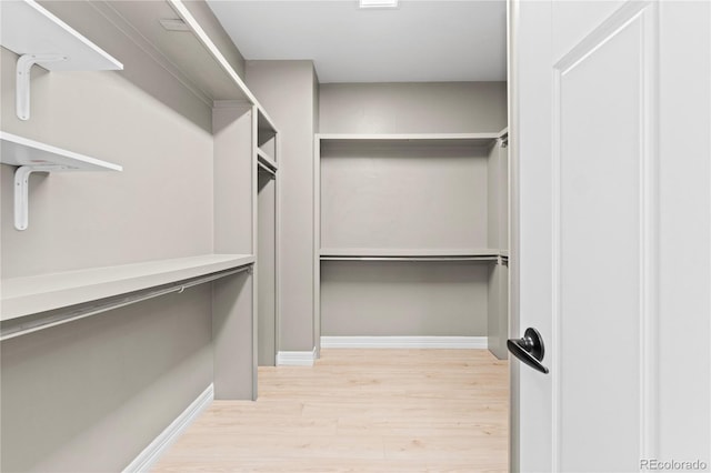 1815 Avery Way, Castle Rock, CO 80109 - spacious closet with light wood-style flooring
