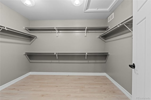 1815 Avery Way, Castle Rock, CO 80109 - spacious closet featuring light wood-type flooring and attic access