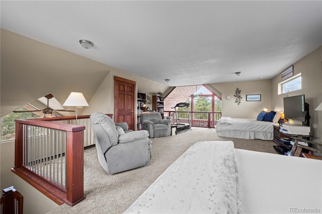 477 W View Rd, Cotopaxi, CO 81223 - photo 26