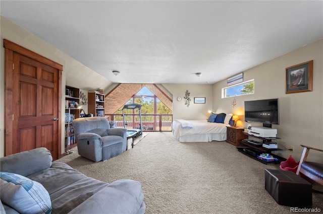 477 W View Rd, Cotopaxi, CO 81223 - photo 27