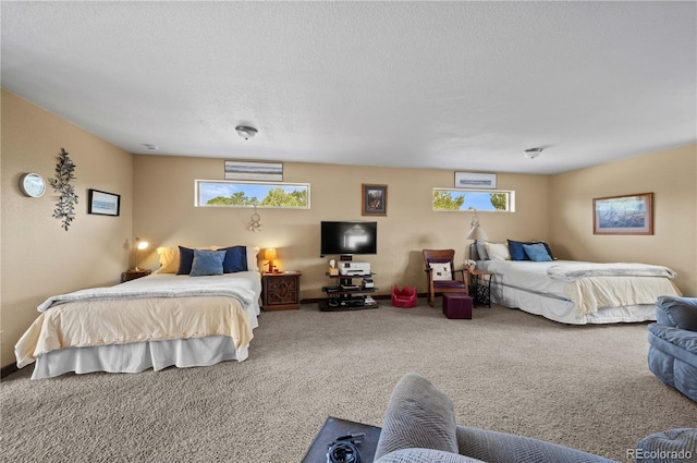 477 W View Rd, Cotopaxi, CO 81223 - photo 29