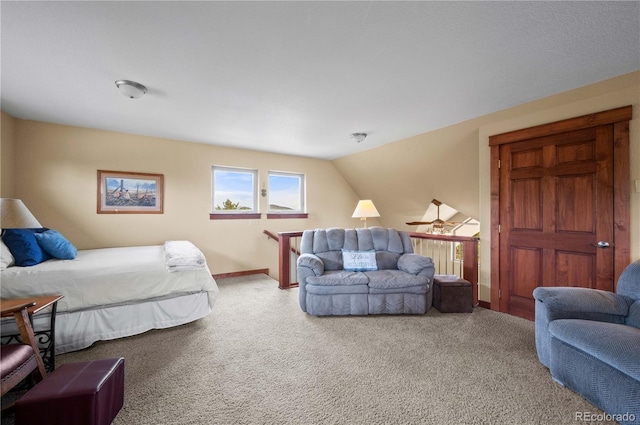477 W View Rd, Cotopaxi, CO 81223 - photo 30
