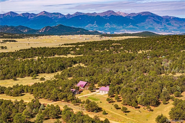 477 W View Rd, Cotopaxi, CO 81223 - photo 48