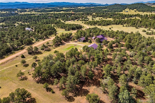 477 W View Rd, Cotopaxi, CO 81223 - photo 49