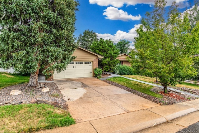 2718 S Kendall Way, Denver, CO 80227 - photo 3