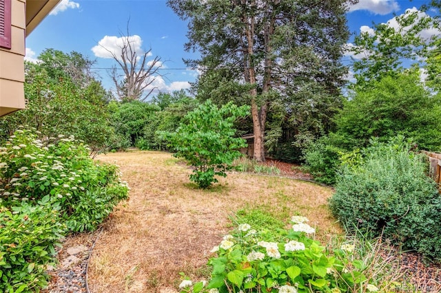 2718 S Kendall Way, Denver, CO 80227 - photo 43