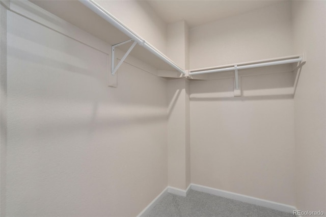 spacious closet with carpet floors