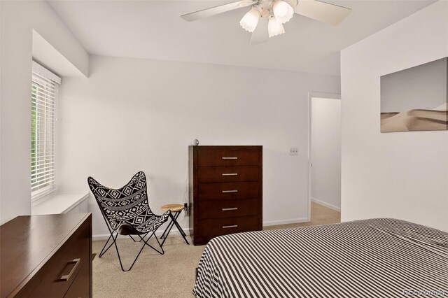 20829 Parliament Ct, Parker, CO 80138 - photo 28