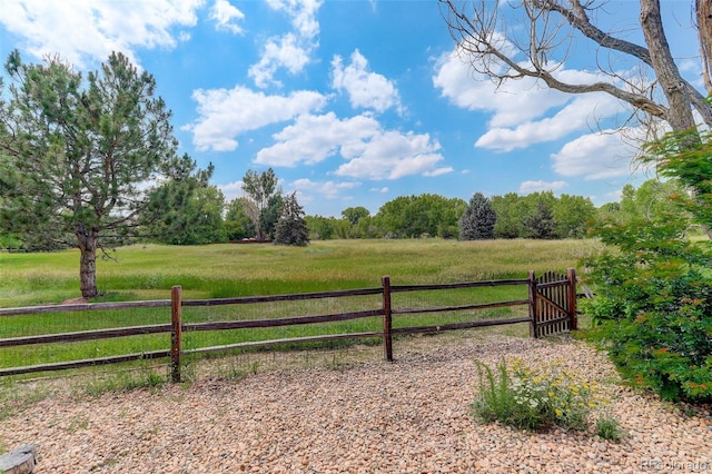 20829 Parliament Ct, Parker, CO 80138 - photo 45