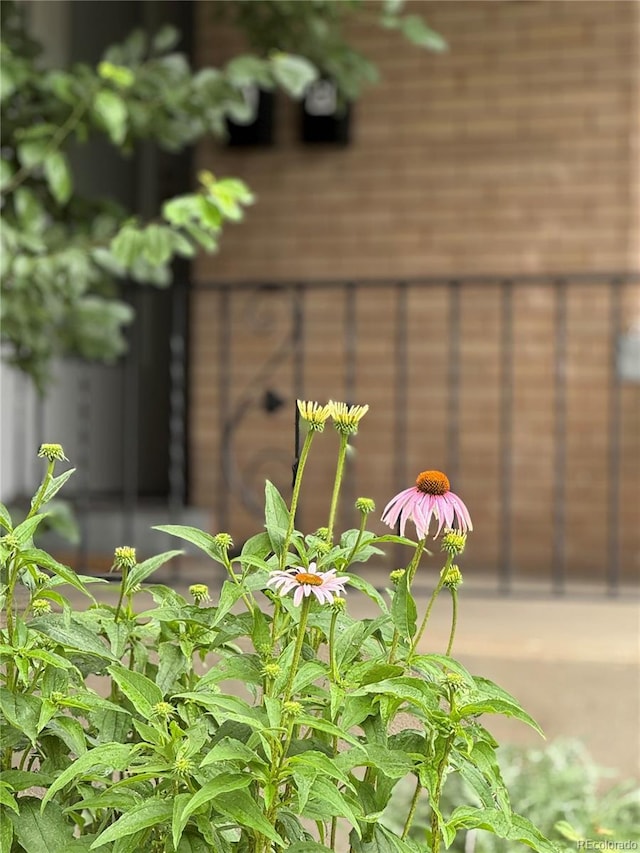 1654 S Pearl St, Denver, CO 80210 - detailed view