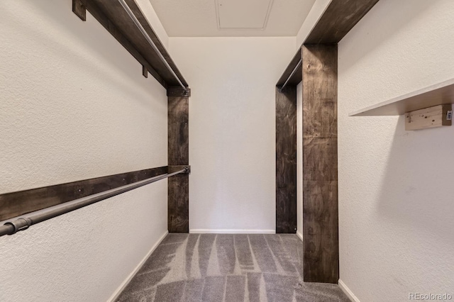 9180 Rolling Way Unit 303, Parker, CO 80134 - spacious closet with carpet flooring