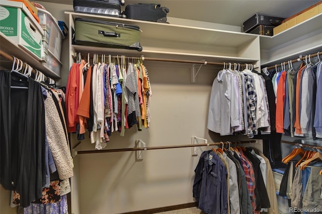 spacious closet featuring carpet flooring