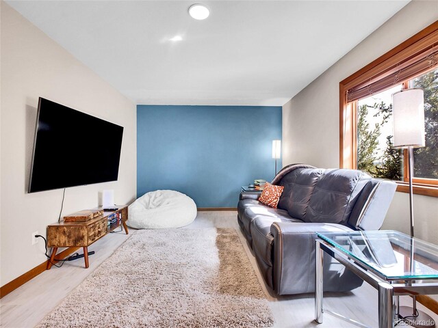 385 Pine Dr, Fairplay, CO 80440 - living area with wood finished floors and baseboards