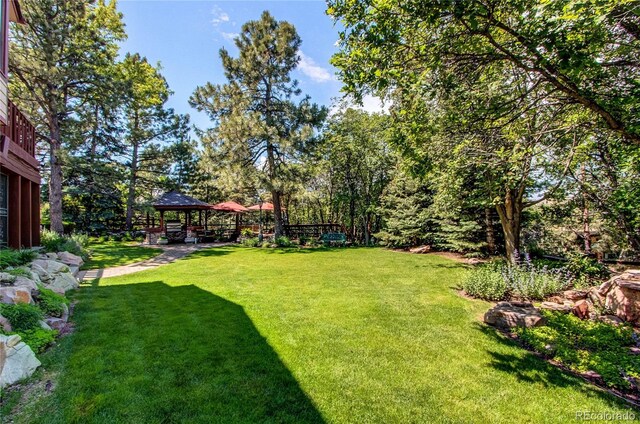 559 E 2nd Ave, Castle Rock, CO 80108 - photo 3