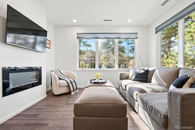 living room with dark hardwood / wood-style floors and plenty of natural light