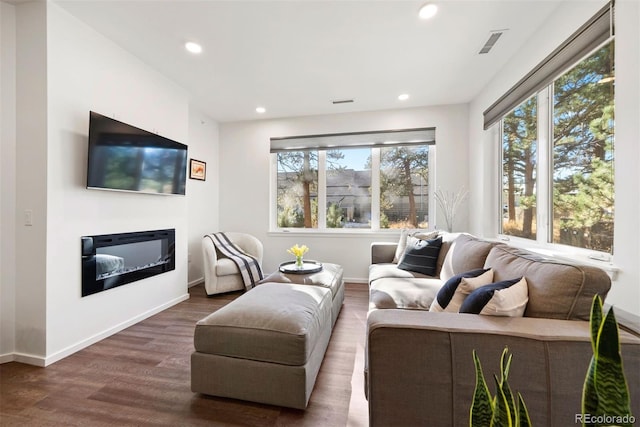 living room with dark hardwood / wood-style flooring