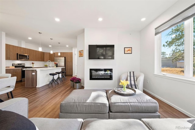 living room with sink and wood-type flooring