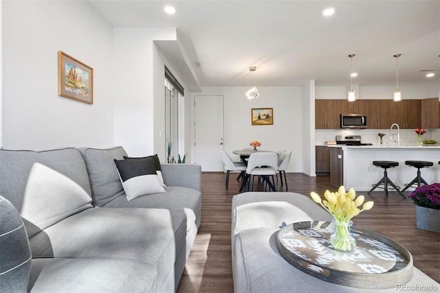 living room featuring sink and dark hardwood / wood-style flooring