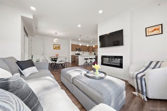 living room with wood-type flooring