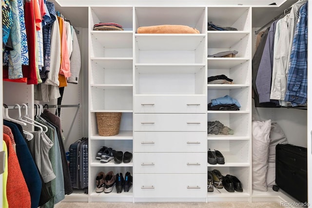 view of walk in closet