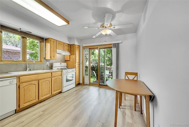 1106 Patricia Dr, Loveland, CO 80537 - photo 9