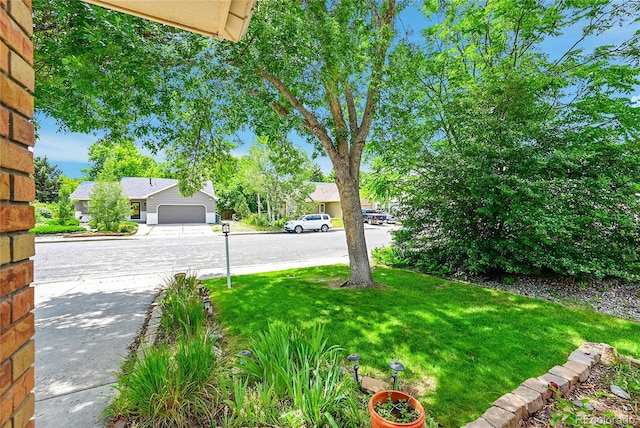 1106 Patricia Dr, Loveland, CO 80537 - photo 23