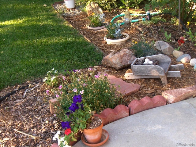 1106 Patricia Dr, Loveland, CO 80537 - photo 32